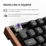 Keychron K8 HE Wireless Magnetic Switch - Ảnh 3
