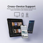 Eversolo Play CD Edition Music Streamer - Ảnh 6