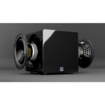 Loa Subwoofer SVS 3000 MICRO - Ảnh 5