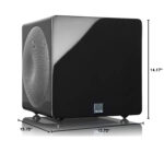 Loa Subwoofer SVS 3000 MICRO - Ảnh 11