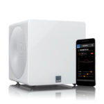 Loa Subwoofer SVS 3000 MICRO - Ảnh 2