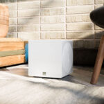 Loa Subwoofer SVS 3000 MICRO - Ảnh 7