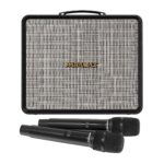 Loa Karaoke Paramax Nice