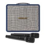 Loa Karaoke Paramax Nice - Ảnh 3