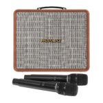 Loa Karaoke Paramax Nice - Ảnh 4