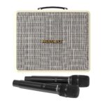 Loa Karaoke Paramax Nice - Ảnh 5