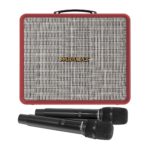 Loa Karaoke Paramax Nice - Ảnh 2