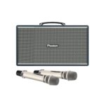 Loa Karaoke Pasion Enzo - Ảnh 2