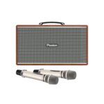 Loa Karaoke Pasion Enzo - Ảnh 3