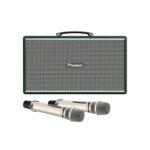 Loa Karaoke Pasion Enzo - Ảnh 4