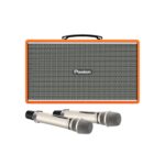 Loa Karaoke Pasion Enzo - Ảnh 5