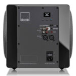Loa Subwoofer SVS 3000 MICRO R | Evolution - Ảnh 3