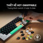 Razer Reclusa X Mini 65 - Ảnh 3