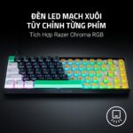 Razer Reclusa X Mini 65 - Ảnh 6